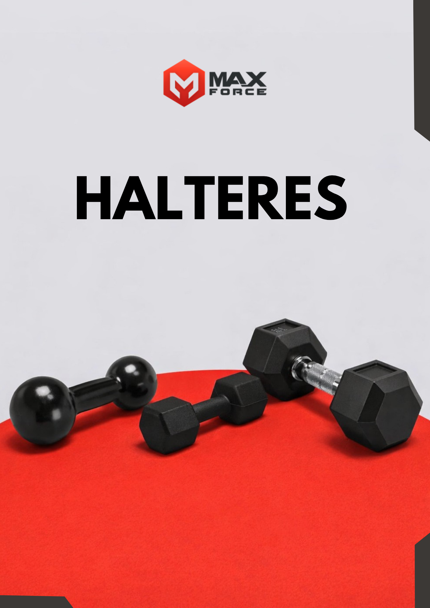 Halteres Max Force